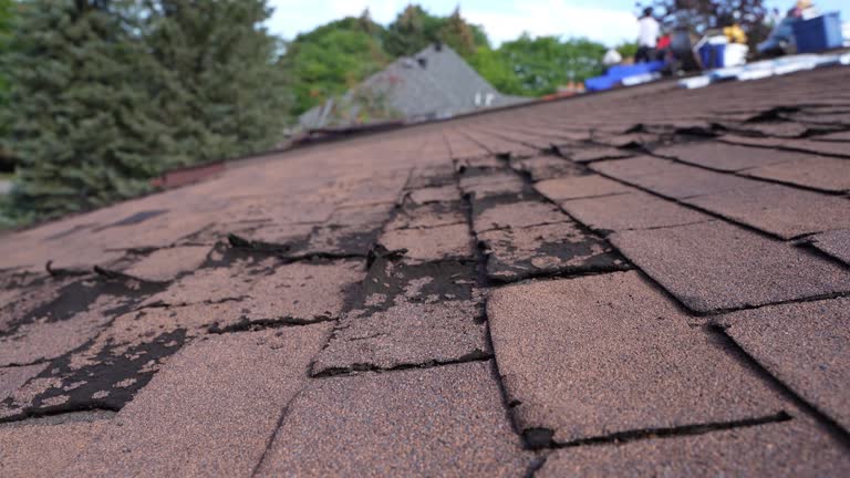 Best Chimney Flashing Repair  in Angier, NC